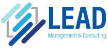 Lead-Management-y-Consulting
